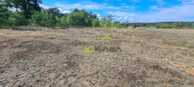 Działka w Zatoniu - Zatonie  -
Lubuskie Zdjęcie nr 6