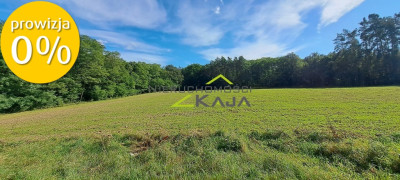 Działka w  otulinie lasu - Grabowiec - Grabowiec  -
Lubuskie Zdjęcie nr 2