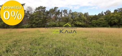 Działka w  otulinie lasu - Grabowiec - Grabowiec  -
Lubuskie Zdjęcie nr 7