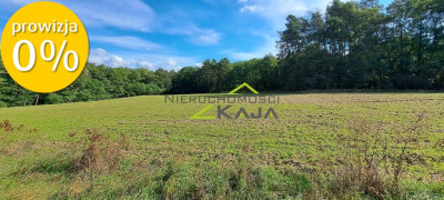 Atrakcyjnie położona działka w gminie Świdnica - Grabowiec  -
Lubuskie Zdjęcie nr 4