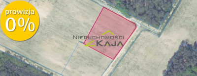 Atrakcyjnie położona działka w gminie Świdnica - Grabowiec  -
Lubuskie Zdjęcie nr 9