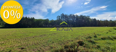 Atrakcyjnie położona działka przy lesie - Grabowiec  -
Lubuskie Zdjęcie nr 3