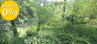 Urokliwie położona działka z lasem i stawem - Nowe Biskupice  -
Lubuskie Zdjęcie nr 10