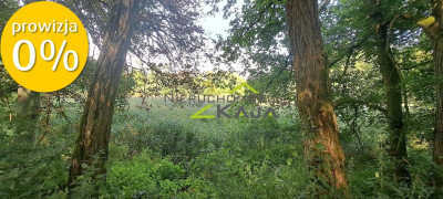 Urokliwie położona działka z lasem i stawem - Nowe Biskupice  -
Lubuskie Zdjęcie nr 11