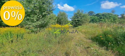 Urokliwie położona działka z lasem i stawem - Nowe Biskupice  -
Lubuskie Zdjęcie nr 13