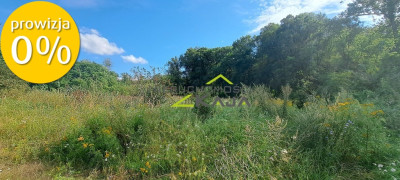 Urokliwie położona działka z lasem i stawem - Nowe Biskupice  -
Lubuskie Zdjęcie nr 14