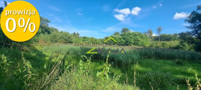 Urokliwie położona działka z lasem i stawem - Nowe Biskupice  -
Lubuskie Zdjęcie nr 3