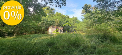 Urokliwie położona działka z lasem i stawem - Nowe Biskupice  -
Lubuskie Zdjęcie nr 6