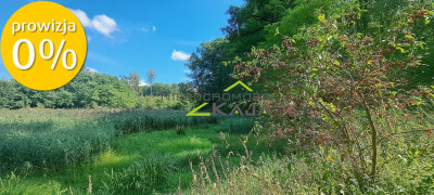 Urokliwie położona działka z lasem i stawem - Nowe Biskupice  -
Lubuskie Zdjęcie nr 7