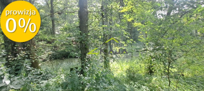 Urokliwie położona działka z lasem i stawem - Nowe Biskupice  -
Lubuskie Zdjęcie nr 9