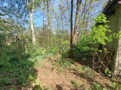 Działka pod zabudowę - Wilkanowo - Wilkanowo  -
Lubuskie Zdjęcie nr 7