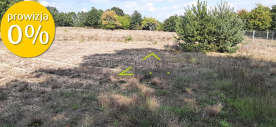 Urokliwa działka z widokiem na las- Letnica - Letnica  -
Lubuskie Zdjęcie nr 8