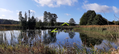 urokliwe siedlisko - działki od 3000m2 do 256 ha - Pomorsko  -
Lubuskie Zdjęcie nr 10