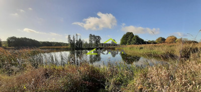 urokliwe siedlisko - działki od 3000m2 do 256 ha - Pomorsko  -
Lubuskie Zdjęcie nr 11