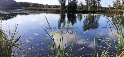 urokliwe siedlisko - działki od 3000m2 do 256 ha - Pomorsko  -
Lubuskie Zdjęcie nr 12