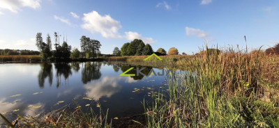 urokliwe siedlisko - działki od 3000m2 do 256 ha - Pomorsko  -
Lubuskie Zdjęcie nr 14