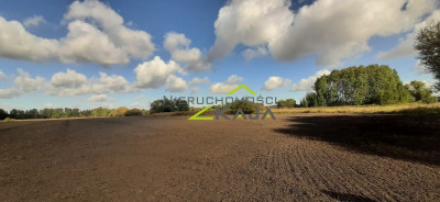 urokliwe siedlisko - działki od 3000m2 do 256 ha - Pomorsko  -
Lubuskie Zdjęcie nr 2