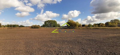 urokliwe siedlisko - działki od 3000m2 do 256 ha - Pomorsko  -
Lubuskie Zdjęcie nr 3