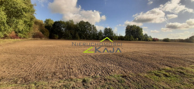 urokliwe siedlisko - działki od 3000m2 do 256 ha - Pomorsko  -
Lubuskie Zdjęcie nr 4