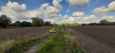 urokliwe siedlisko - działki od 3000m2 do 256 ha - Pomorsko  -
Lubuskie Zdjęcie nr 5