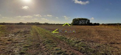 urokliwe siedlisko - działki od 3000m2 do 256 ha - Pomorsko  -
Lubuskie Zdjęcie nr 6