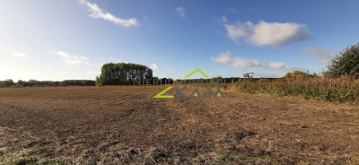 urokliwe siedlisko - działki od 3000m2 do 256 ha - Pomorsko  -
Lubuskie Zdjęcie nr 7