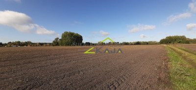 urokliwe siedlisko - działki od 3000m2 do 256 ha - Pomorsko  -
Lubuskie Zdjęcie nr 9
