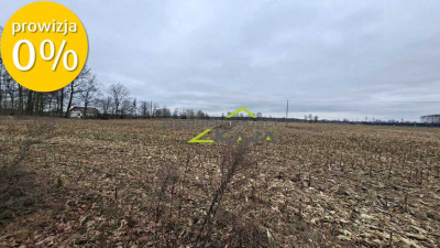 Zamieszkaj blisko natury - działka 1217m2 z WZ - Jesiona  - Lubuskie