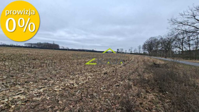 Zamieszkaj blisko natury - działka 1217m2 z WZ - Jesiona  -
Lubuskie Zdjęcie nr 3