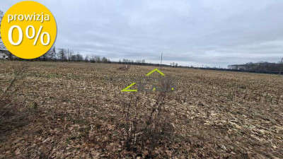 Zamieszkaj blisko natury - działka 1217m2 z WZ - Jesiona  -
Lubuskie Zdjęcie nr 4