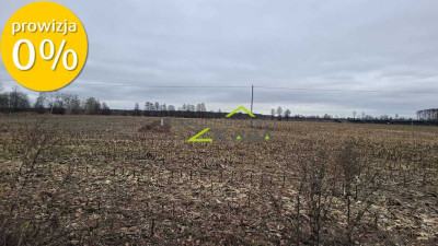 Zamieszkaj blisko natury - działka 1217m2 z WZ - Jesiona  -
Lubuskie Zdjęcie nr 5