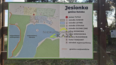 Zamieszkaj blisko natury - działka 1217m2 z WZ - Jesiona  - Lubuskie