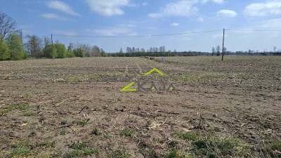 Zamieszkaj blisko natury - działka 1217m2 z WZ - Jesiona  -
Lubuskie Zdjęcie nr 5