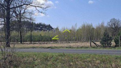 Zamieszkaj blisko natury - działka 1217m2 z WZ - Jesiona  -
Lubuskie Zdjęcie nr 6
