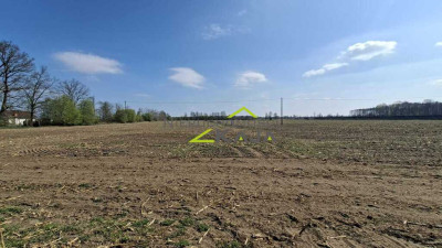 Zamieszkaj blisko natury - działka 1217m2 z WZ - Jesiona  - Lubuskie