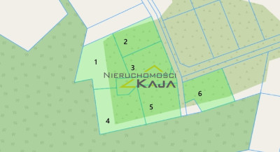 Działka niedaleko Pałacu Bruhla w Brodach - Jeziory Wysokie  -
Lubuskie Zdjęcie nr 14