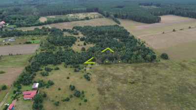 Działka niedaleko Pałacu Bruhla w Brodach - Jeziory Wysokie  - Lubuskie
