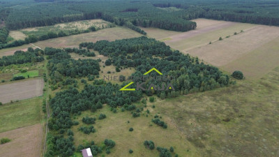 Działka niedaleko Pałacu Bruhla w Brodach - Jeziory Wysokie  -
Lubuskie Zdjęcie nr 4