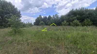 Kosobudz  działki w pobliżu lasu i jezior - Kosobudz  - Lubuskie