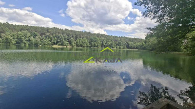 Kosobudz  działki w pobliżu lasu i jezior - Kosobudz  -
Lubuskie Zdjęcie nr 8