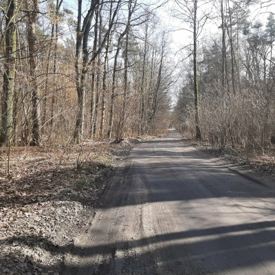 Działka leśna Zgierz Chełmy -
łódzkie Zdjęcie nr 2