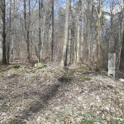 Działka leśna Zgierz Chełmy -
łódzkie Zdjęcie nr 6