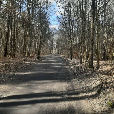 Działka leśna Zgierz Chełmy - łódzkie