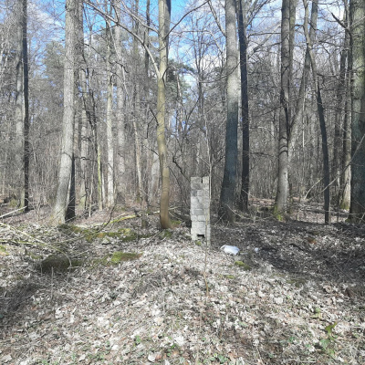 Działka leśna Zgierz Chełmy -
łódzkie Zdjęcie nr 5