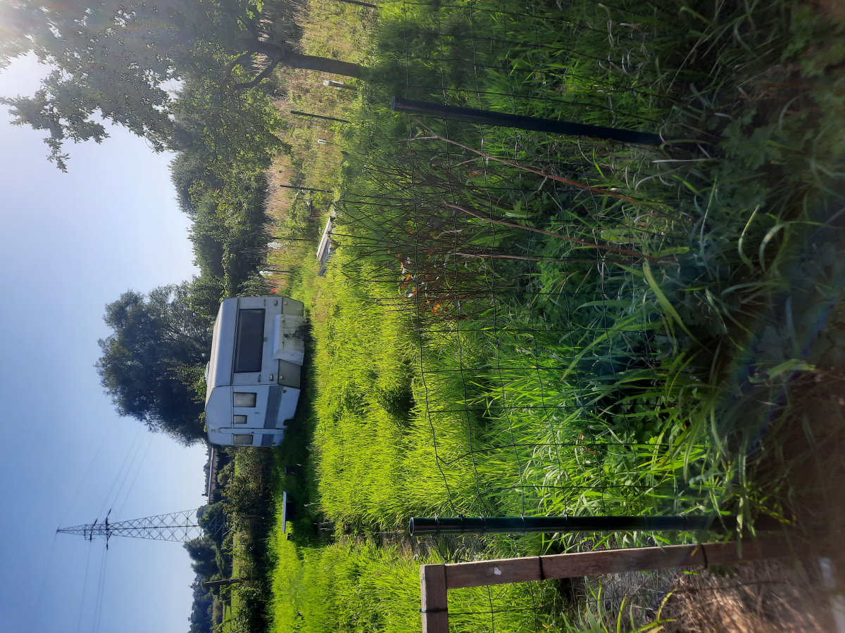 Dzialk ROD -
zachodniopomorskie Zdjęcie nr 1