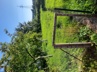 Dzialk ROD -
zachodniopomorskie Zdjęcie nr 2