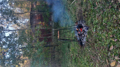 Siedlisko SPRZEDAM -
kujawsko-pomorskie Zdjęcie nr 4