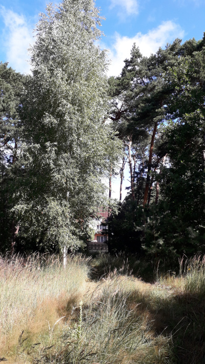 działka budowla do sprzedania -
Mazowieckie Zdjęcie nr 2