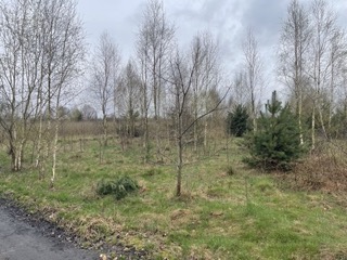 Sprzedam działkę budowlaną z warunkami zabudowy pow. ok. 1200 m2 -
Mazowieckie Zdjęcie nr 11