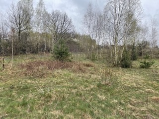 Sprzedam działkę budowlaną z warunkami zabudowy pow. ok. 1200 m2 -
Mazowieckie Zdjęcie nr 10